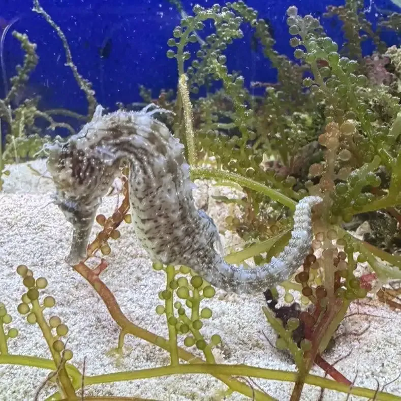 CraftBeer Bar BRONX、4/14のタップリストにY.MARKETやBairdなど11種