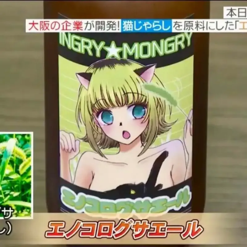 INGRY MONGRY in Higashiosaka highlights Enokorogusa Ale with Fukui Press
