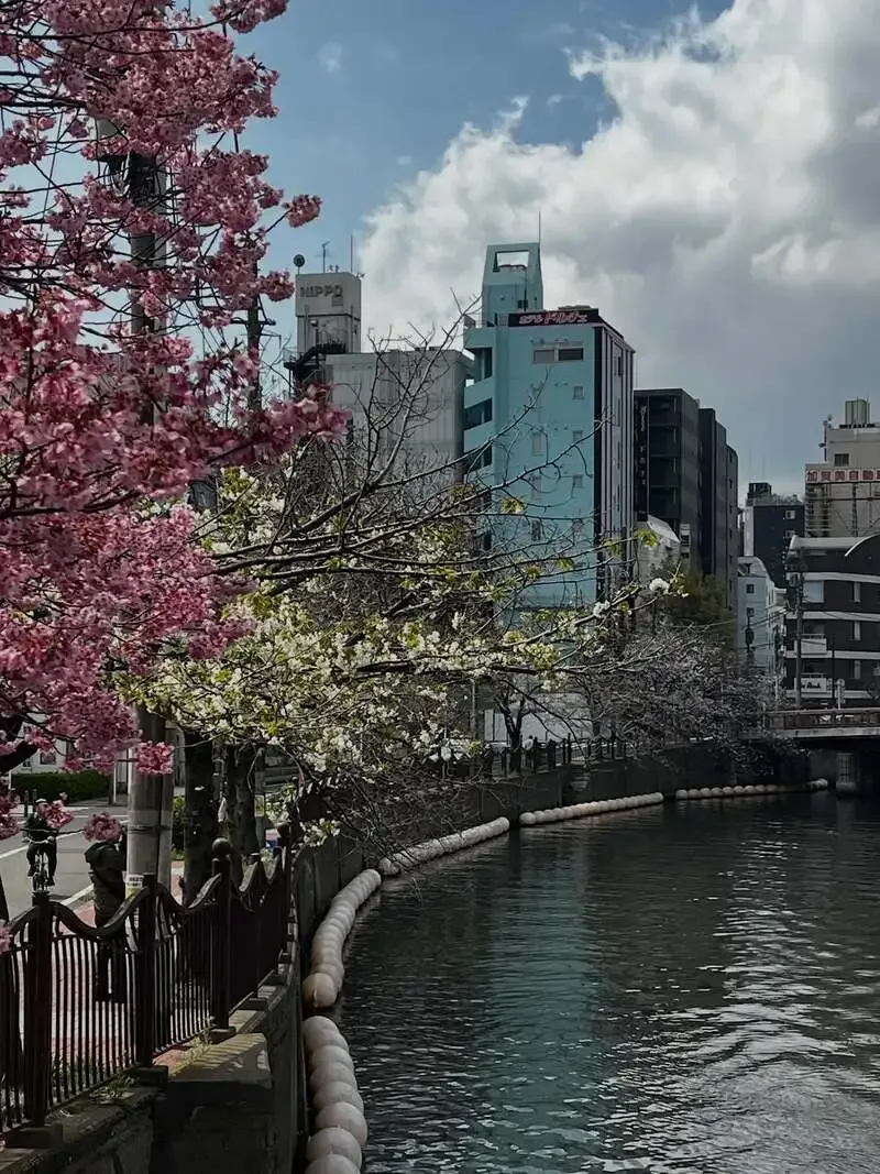 Sakura Taps、3月27日は新規開栓なしで8種のドラフトを案内