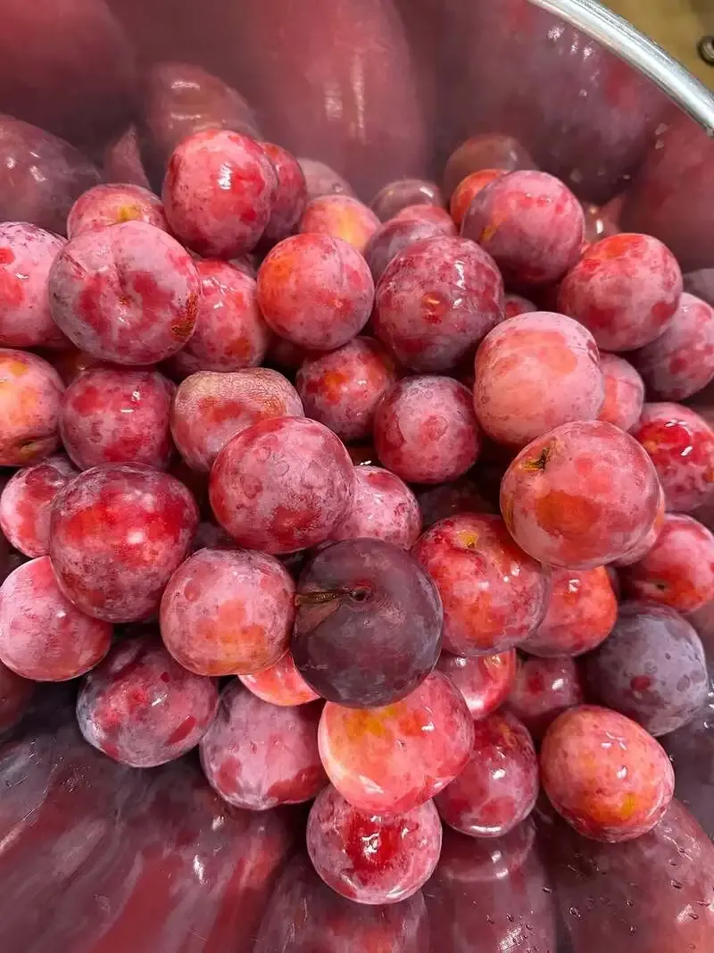 八女ブルワリー、八女産すももを使った『すももセゾン』を近日販売へ