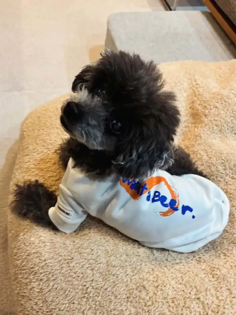 Want a Beer、4月24日は15時開店 週末の通常営業を案内