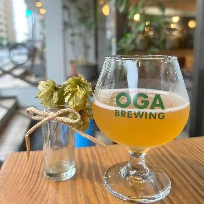 OGA BREWING COMPANY Puts Mitaka-Grown Hop IPA 'Mitaka IPA ~ Harvest Brew' on Tap