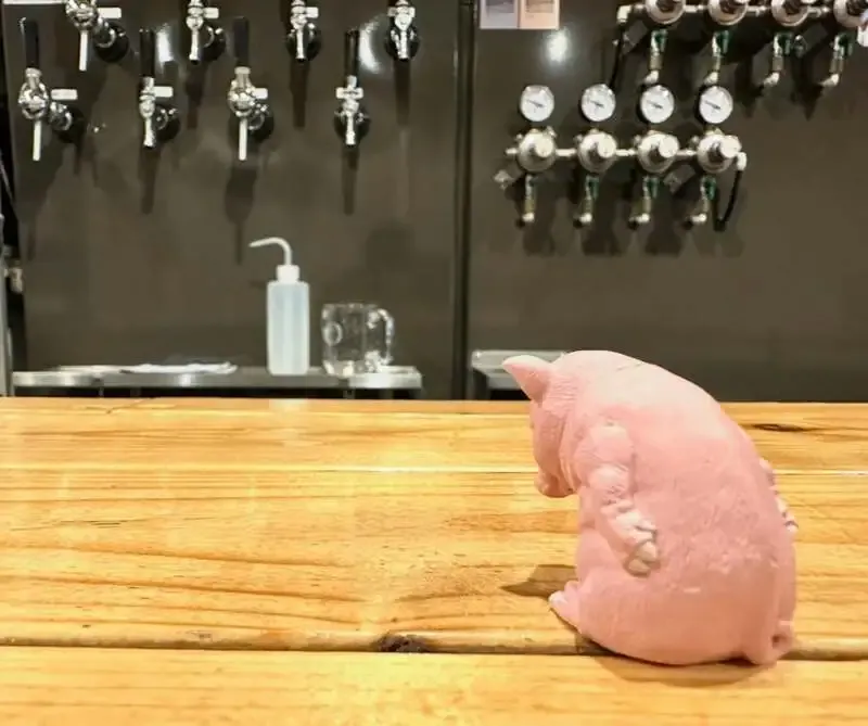 京橋ハトホル、3月25日のタップに国内外12銘柄が登場