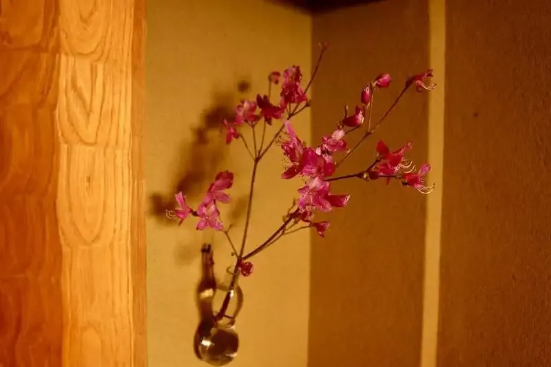 麥酒 夢詠ミ、3月30日に樽生2種を案内 うしとら『はとぽっぽエール〜はとむぎマシマシver』登場