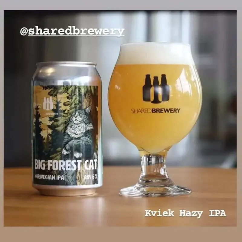 craft beer BLUEで3種開栓、SHARED BREWERYなど8銘柄を案内