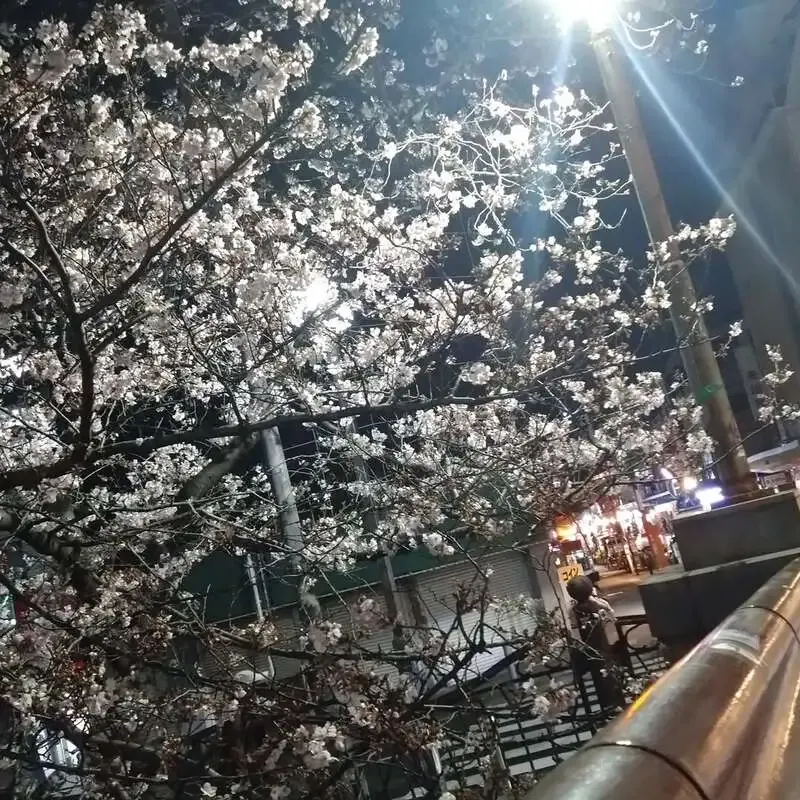 Craft beer kitchen 心の月、3月29日に6種のタップリストを案内