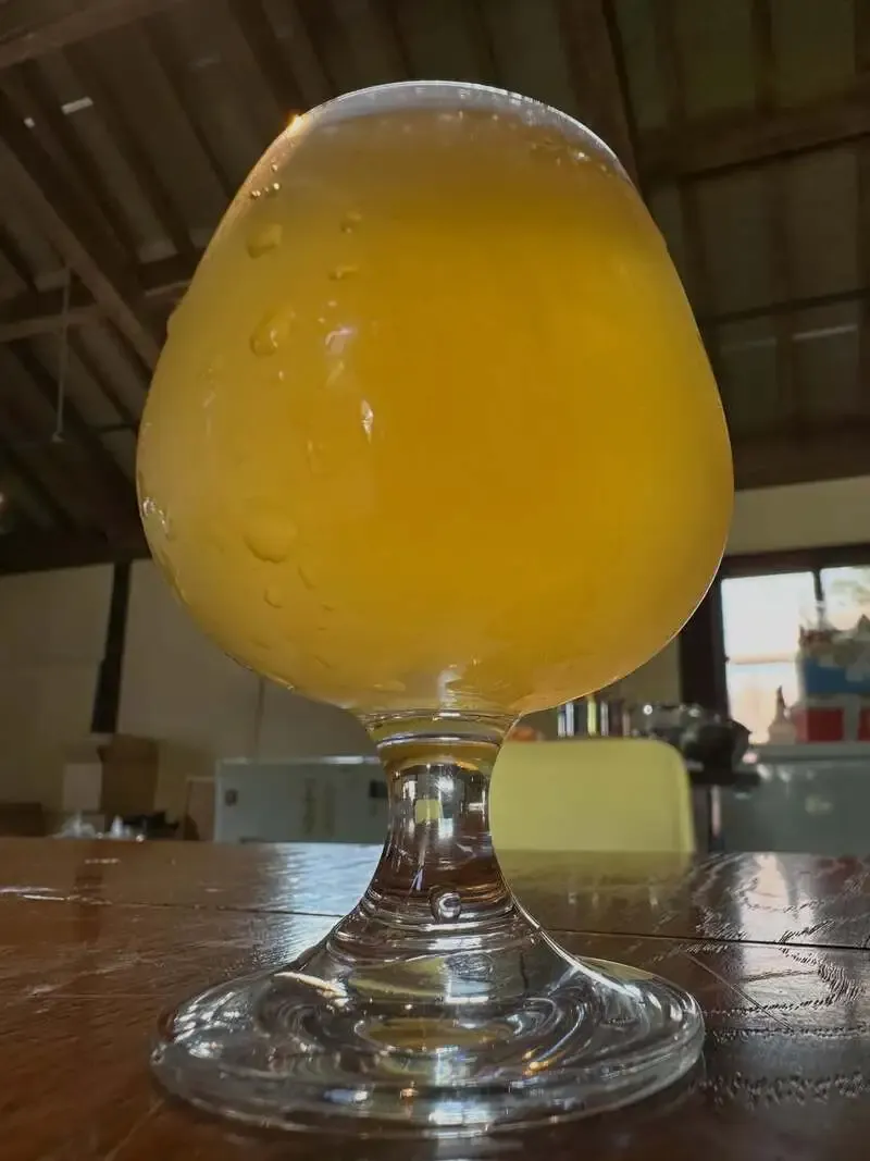 RIOT BEER Opens at 3 p.m. on July 2, Meyer Lemon Gose Finished for July 11