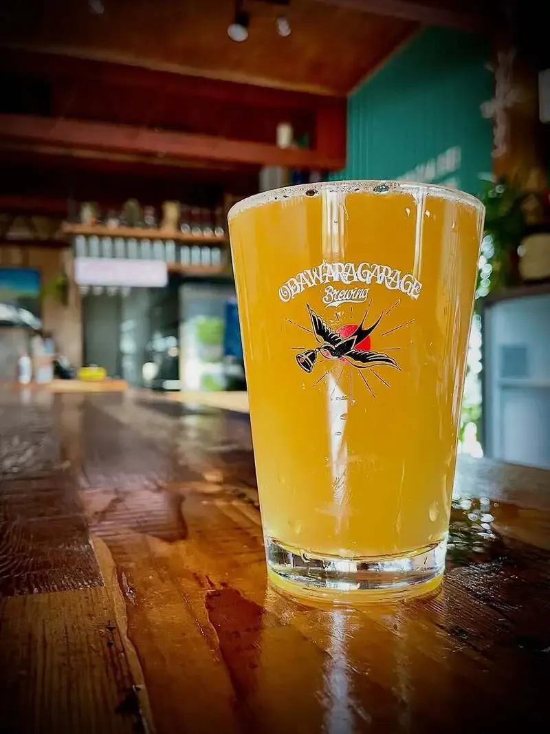 小田原ガレージブリューイング、夏みかん使用のIPA「PEEL THE LIES」を案内