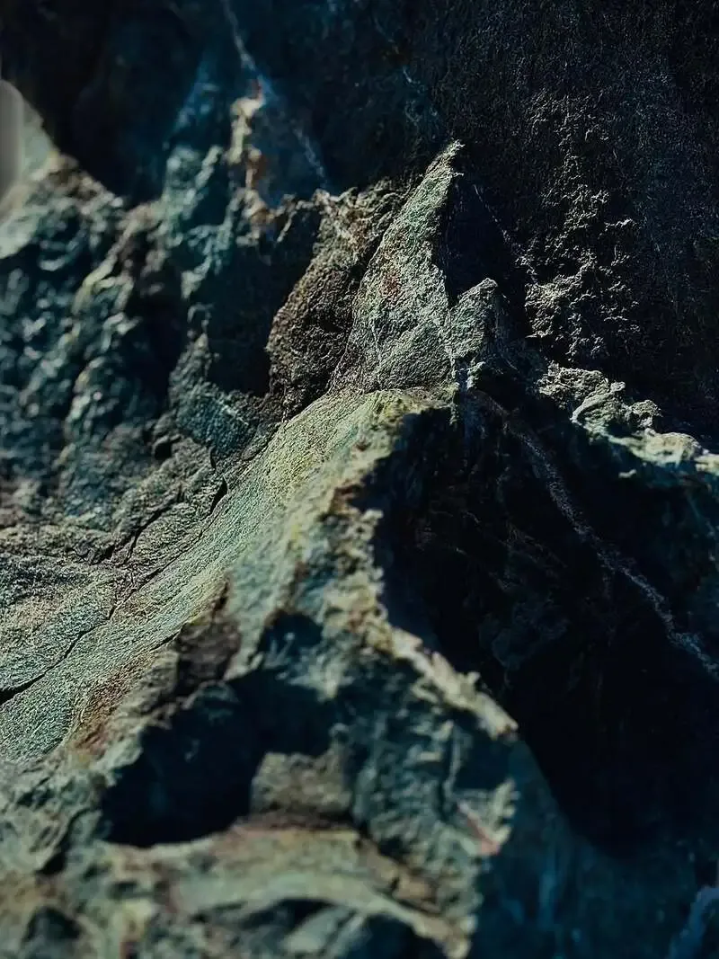 大三島ブリュワリーで『珈琲ペール』第2弾が発売開始、新曲も配信