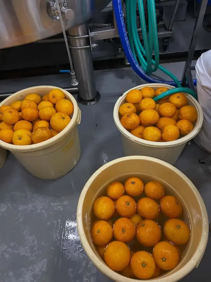 マスターズブリューイング、季節限定『沼津甘夏エール』を案内