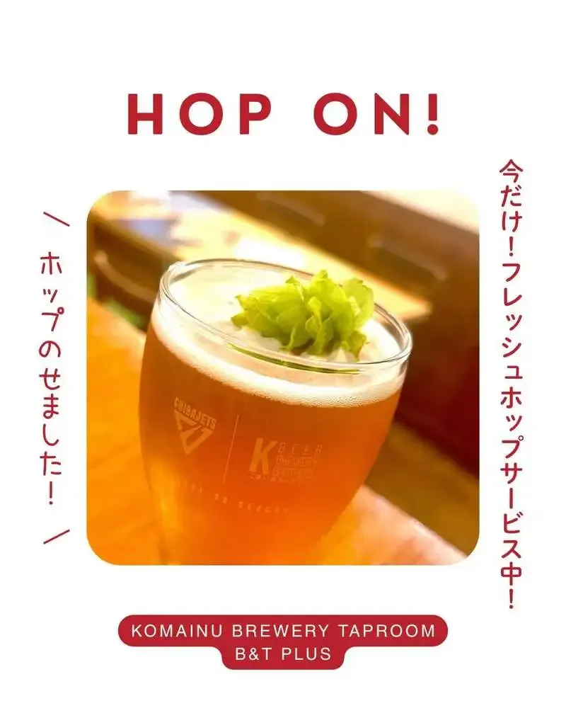 こまいぬ醸造が季節限定ビールを案内、柏で味わう今だけの一杯