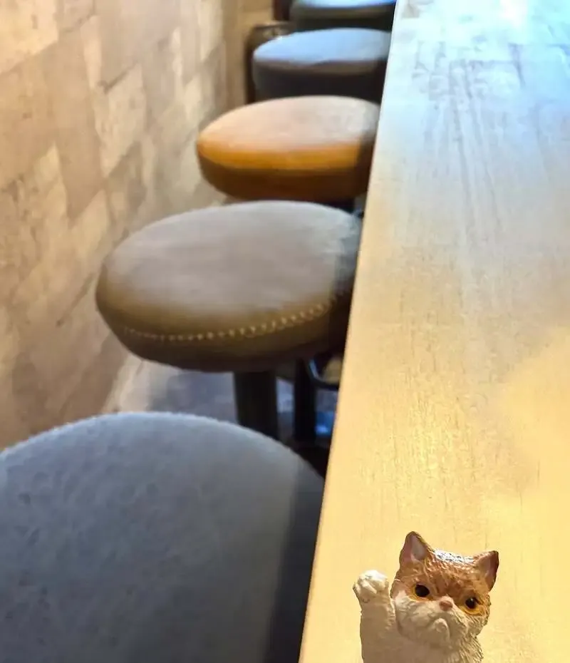 クラフトビアスポット ハトホル、12樽のドラフト案内とテーブル席増設を告知