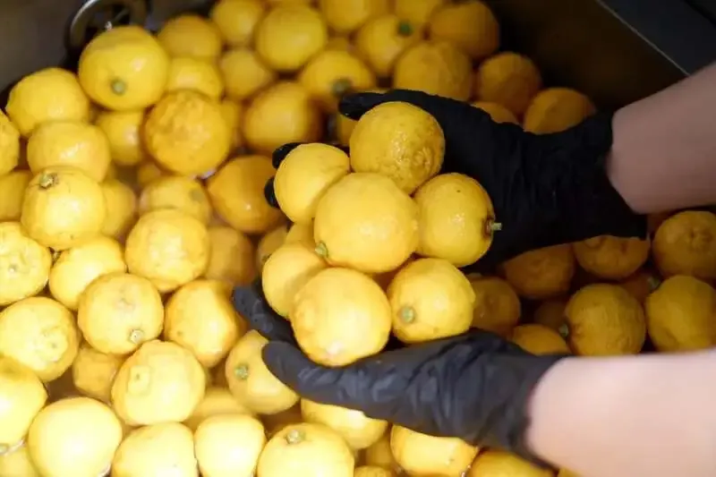 武相ブリュワリー、町田産ゆず使用のSpring beerを3月下旬発売へ