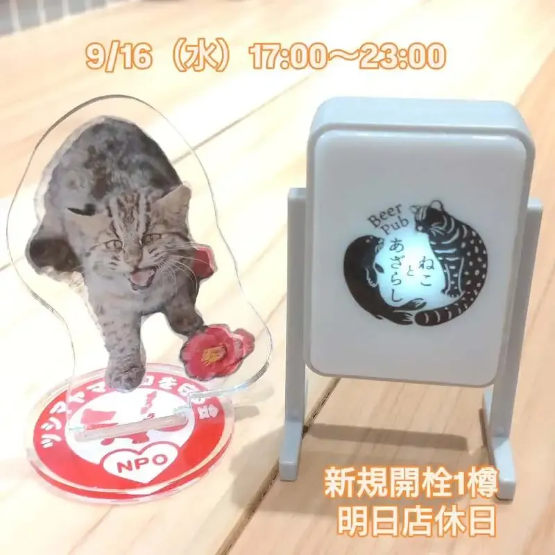 三鷹・Beer Pub ねことあざらしで岩手蔵ビール「ゴールデンエール」開栓