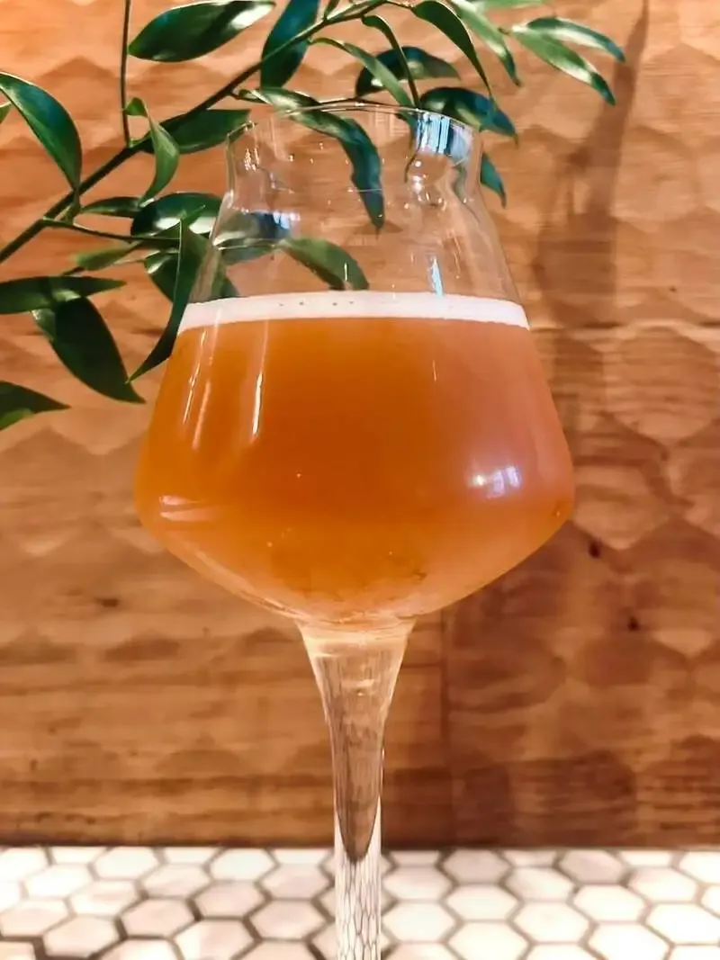 Craftsman in Gotanda Is Pouring Shonan Beer’s Summer Orange Ale