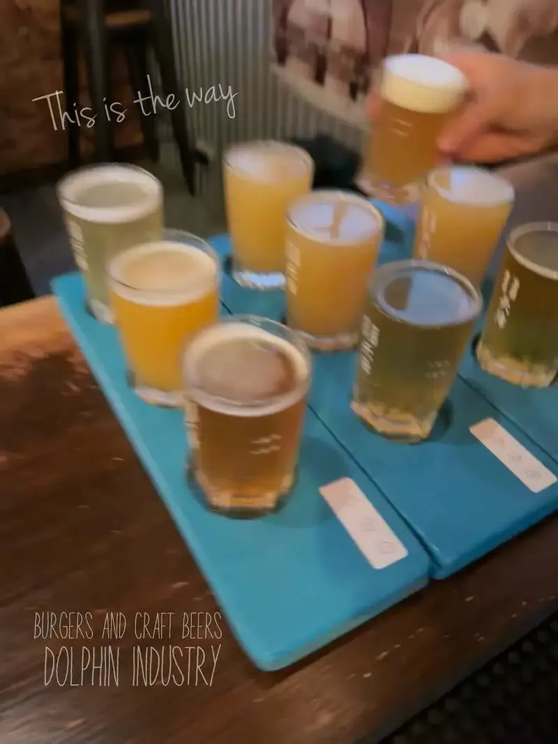 Dolphin Industry Taps Seven Beers, Including BMB BREWERY
