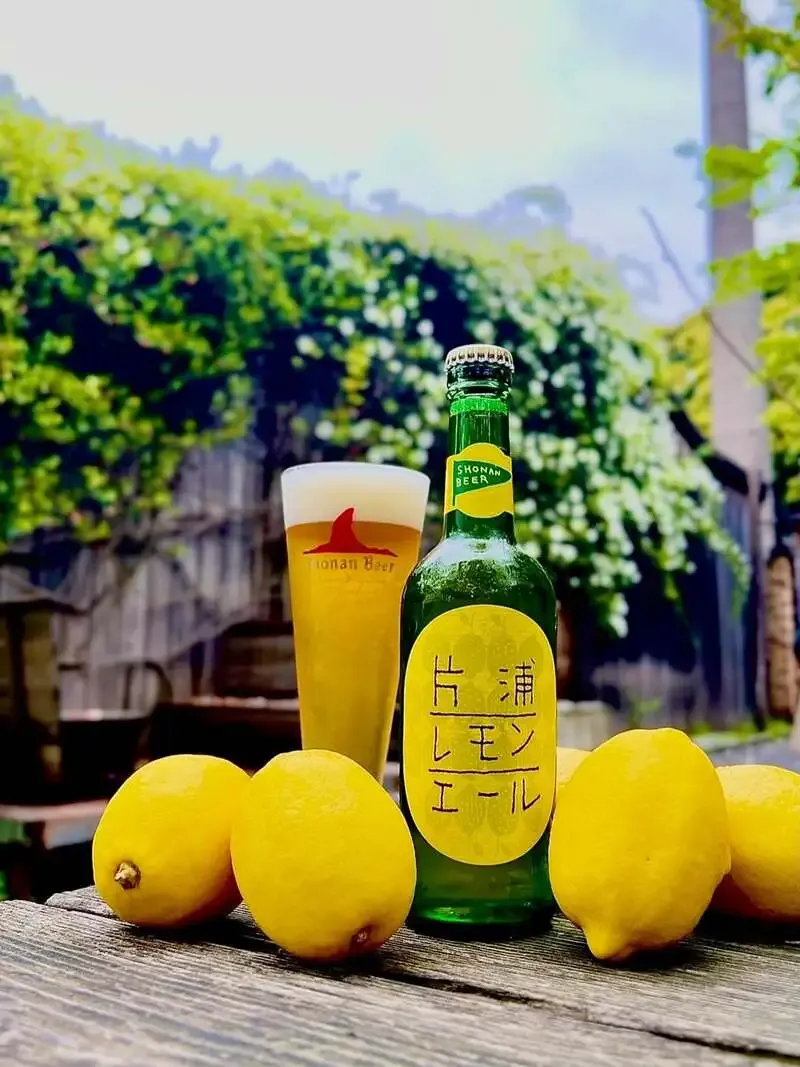 熊澤酒造の蔵元直売所地下室で片浦レモンエール登場　湘南潮彩レモン使用