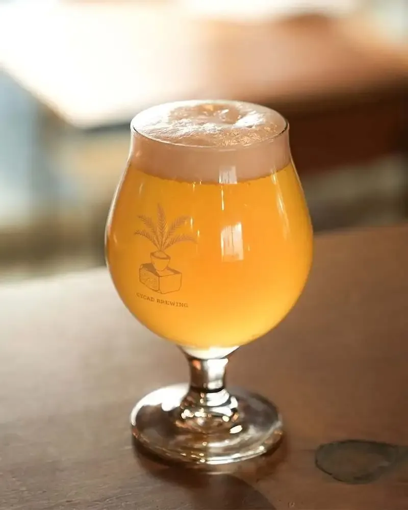 池袋・Cycad Brewingで最新10タップ更新、鬼伝説コラボDIPAも開栓