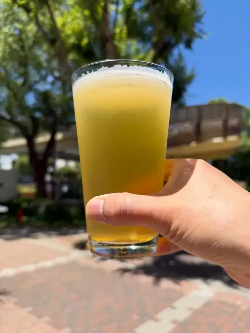 In This Flavorでセッション・セゾンと至極陶然が開栓、暑い日に向く2樽