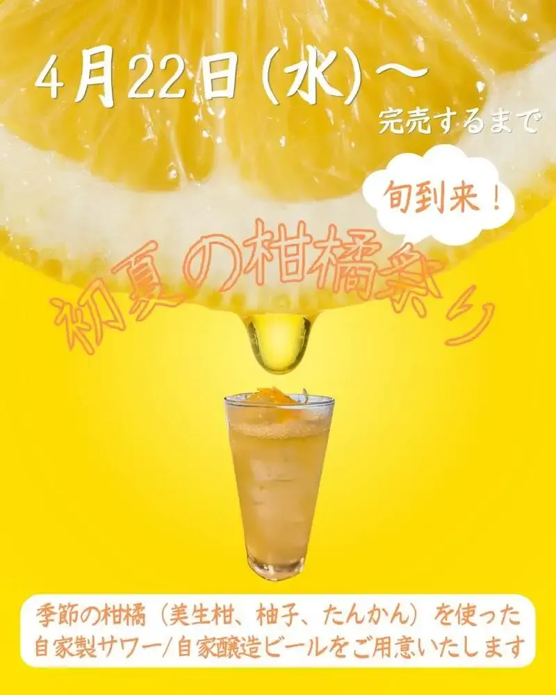 さかづきLab、4月22日から柑橘祭り　自家製美生柑サワーなどを提供