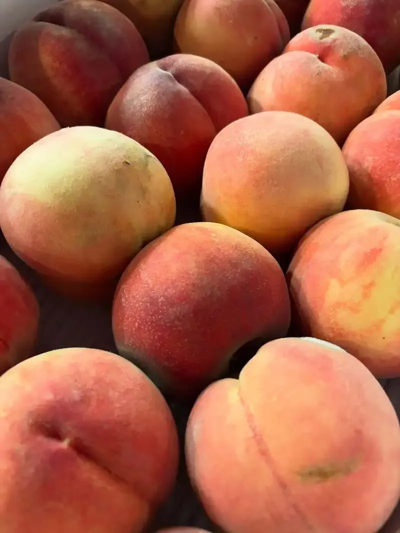 Novel Craft advances anniversary beer 'Life is Peachy' with peach addition