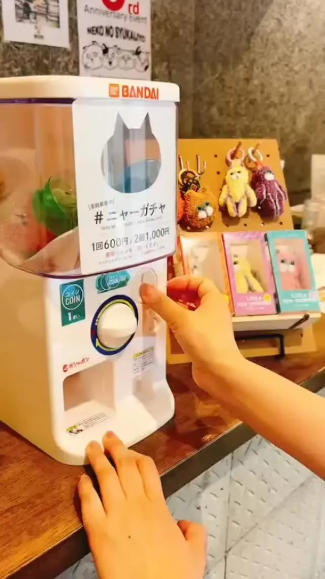 梅ヶ丘『ねこの集会所』、限定ガチャ設置とCRAFTROCKなど6種のタップ案内