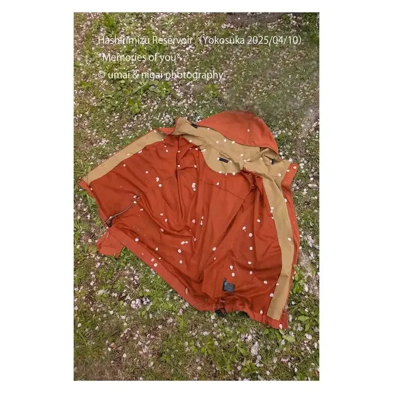 15brewery、4月2日の持ち帰り向けタップリスト公開　沼の底など5種