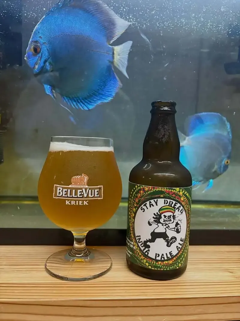 RIOT BEER Pours Darklands and ROXANNE on Nitro, with a Katsunuma Base Brew Day on June 6