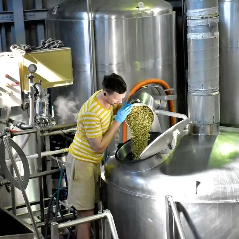 神奈川・厚木のサンクトガーレンブルワリー、仕込み工程のホップ投入を公開