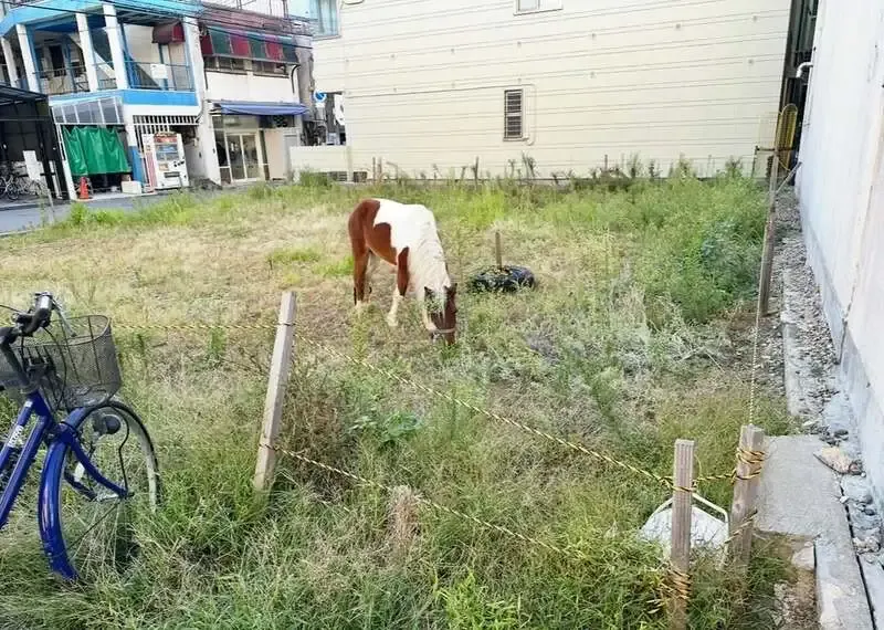 クラフトビアスポット ハトホルでT.Y.ハーバー×ハトホルの京橋ヘレス〜執行猶予〜が開栓
