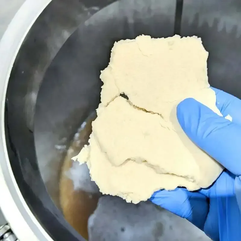 ホースヘッドラブズ、新作「酒粕IPA」を4月末発売へ