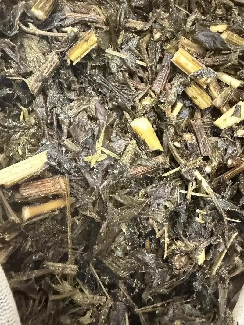 BATHE YOTSUME BREWERY、よもぎを使った春向けビールの仕込みを告知