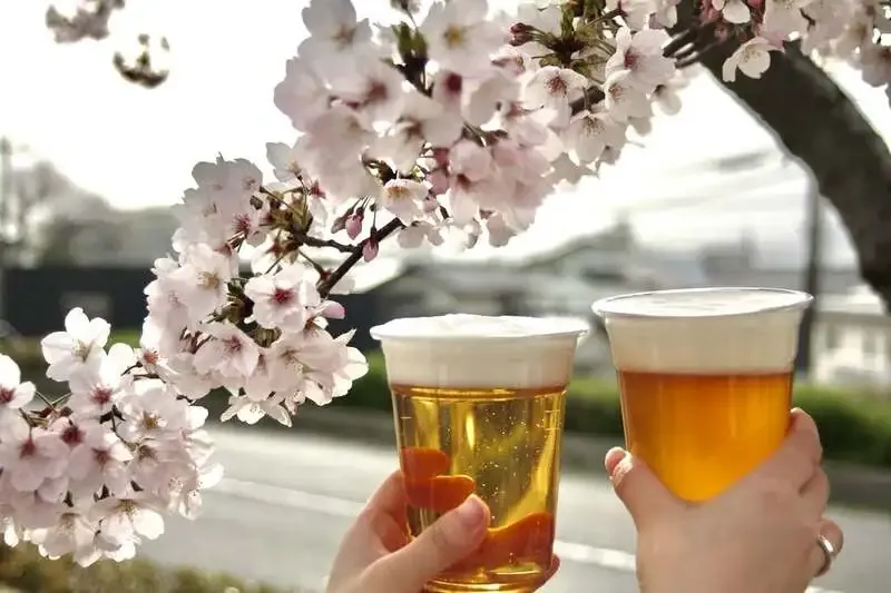 カワズブルーイング、4月12日に「少し遅めのお花見BBQ」開催へ