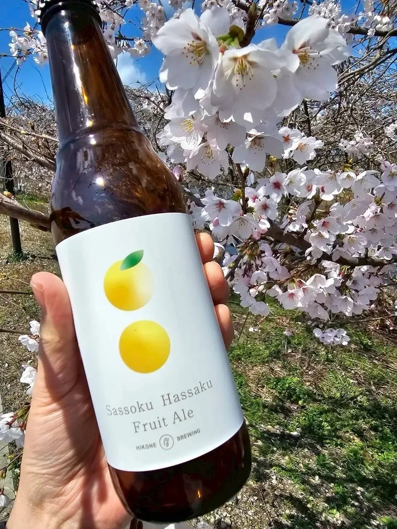 彦根麦酒、無農薬八朔を使ったフルーツエールを再リリース