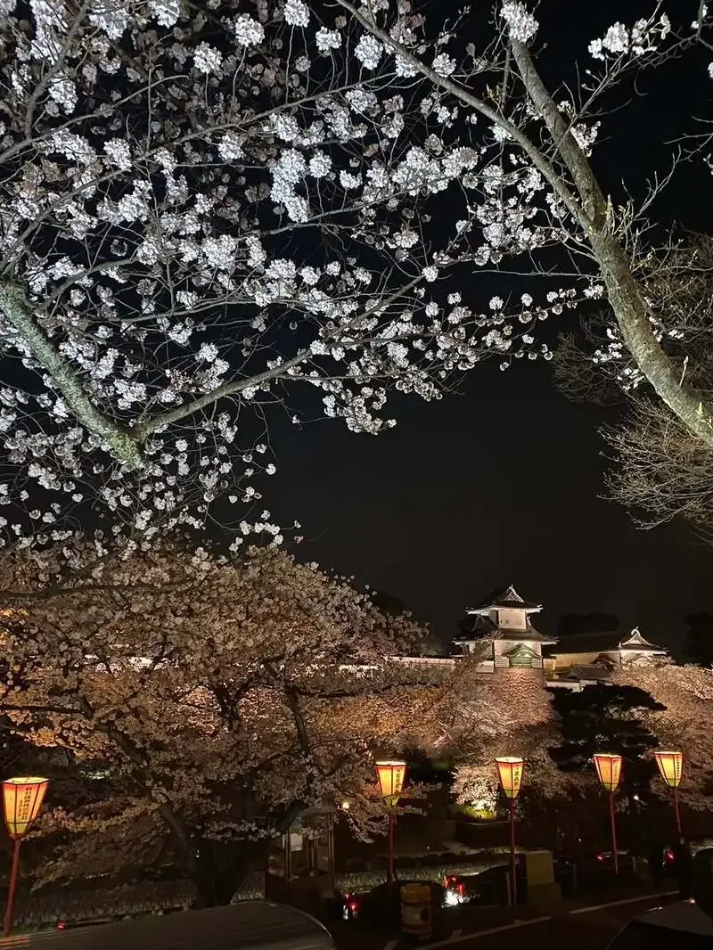 百萬商店 近江町市場店、春限定『向野の桜』樽生終了し『アールグレイ』提供