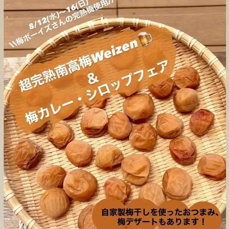 アンドビール高円寺タップルームで「超完熟南高梅Weizen」開栓