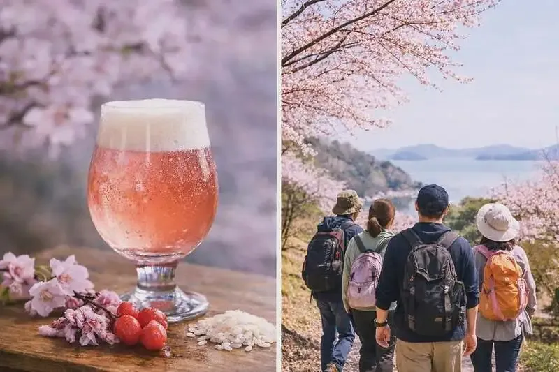 王越麦酒醸造所、イベント当日開栓の桜ビールを公開
