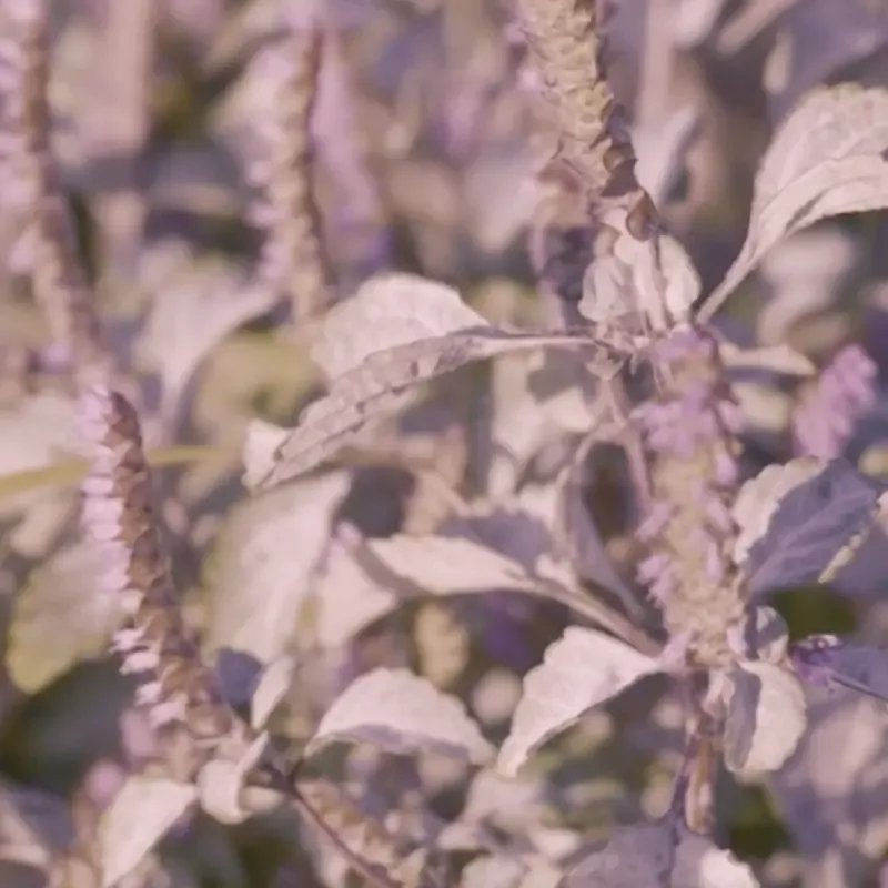 厚岸のユイトリエール、4月18日に1周年記念イベントを開催