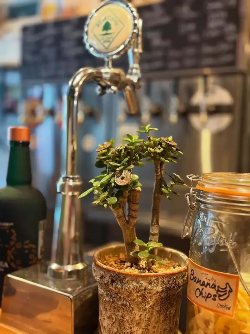 野方NEIGHBORにFLORA FERMENTATIONやSmog Cityなど8種が開栓