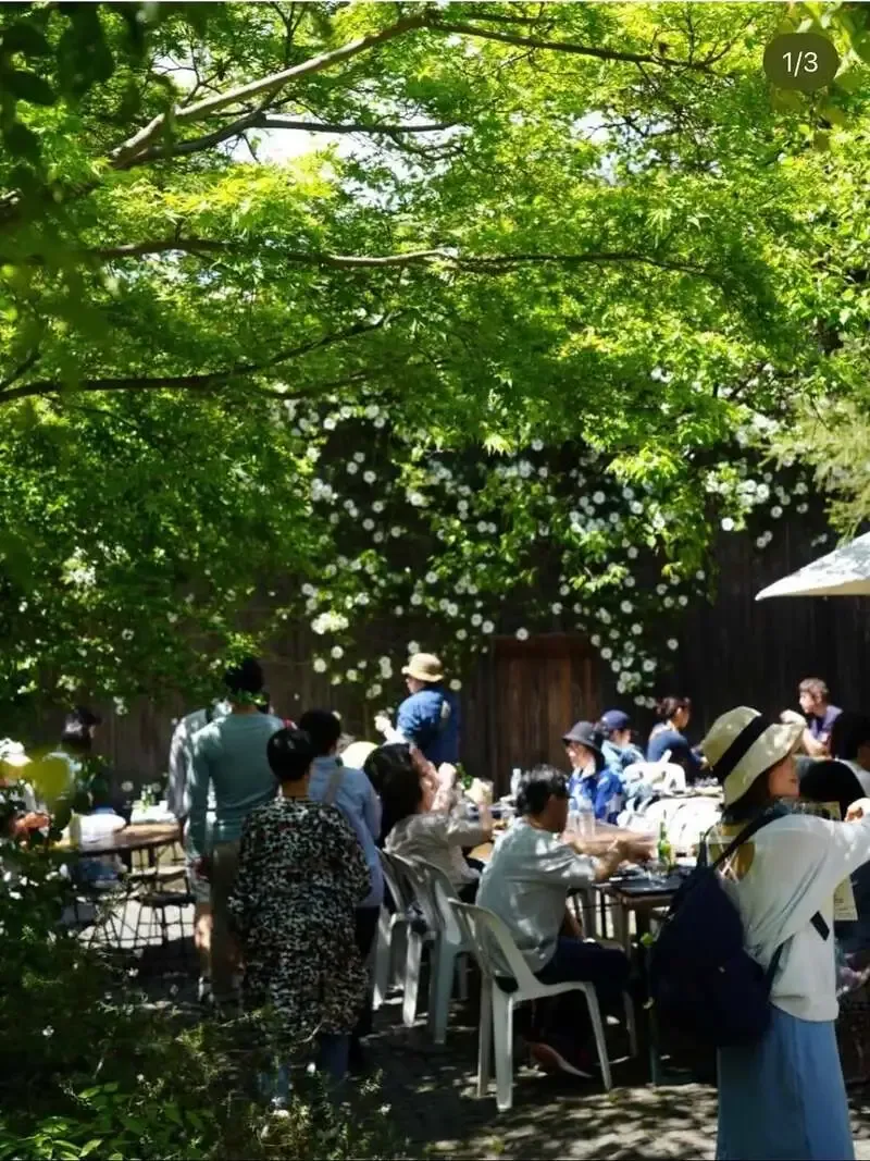 熊澤酒造『酒蔵フェスト2026』を4月11・12日に開催、湘南ビールも