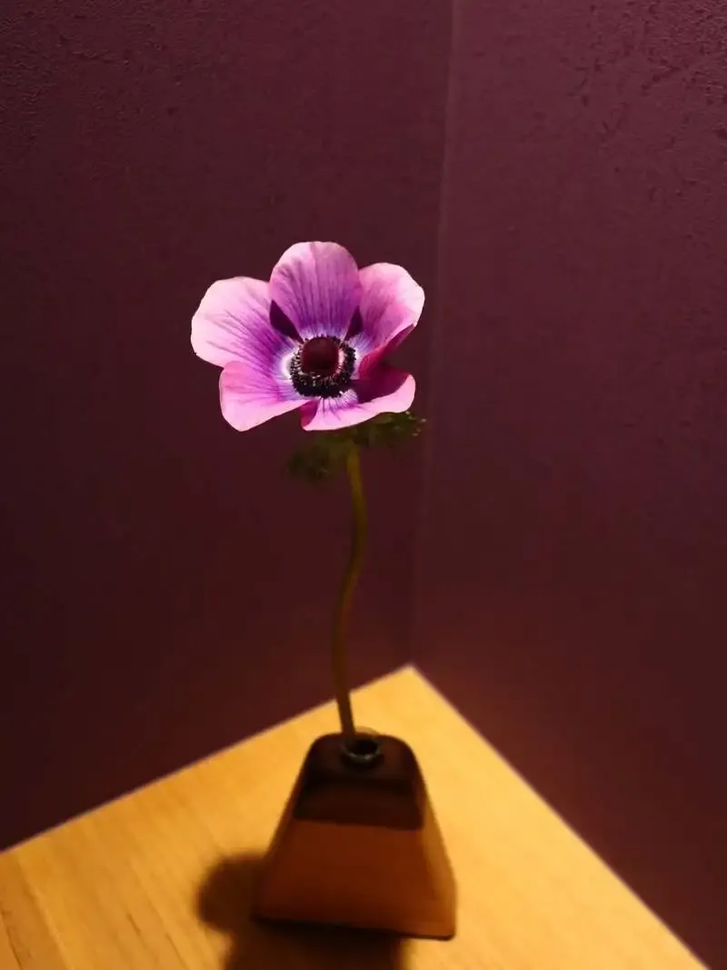 麥酒 夢詠ミ、3月27日17:30-23:00にゲストビール案内