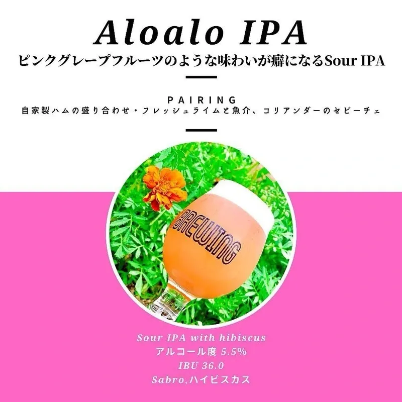 Vector Beer Omori unveils a 10-tap lineup centered on Japanese craft