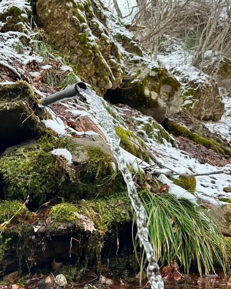 グレートデーンブリューイング、手しごとAKIUとコラボビール「TENTEN」を醸造