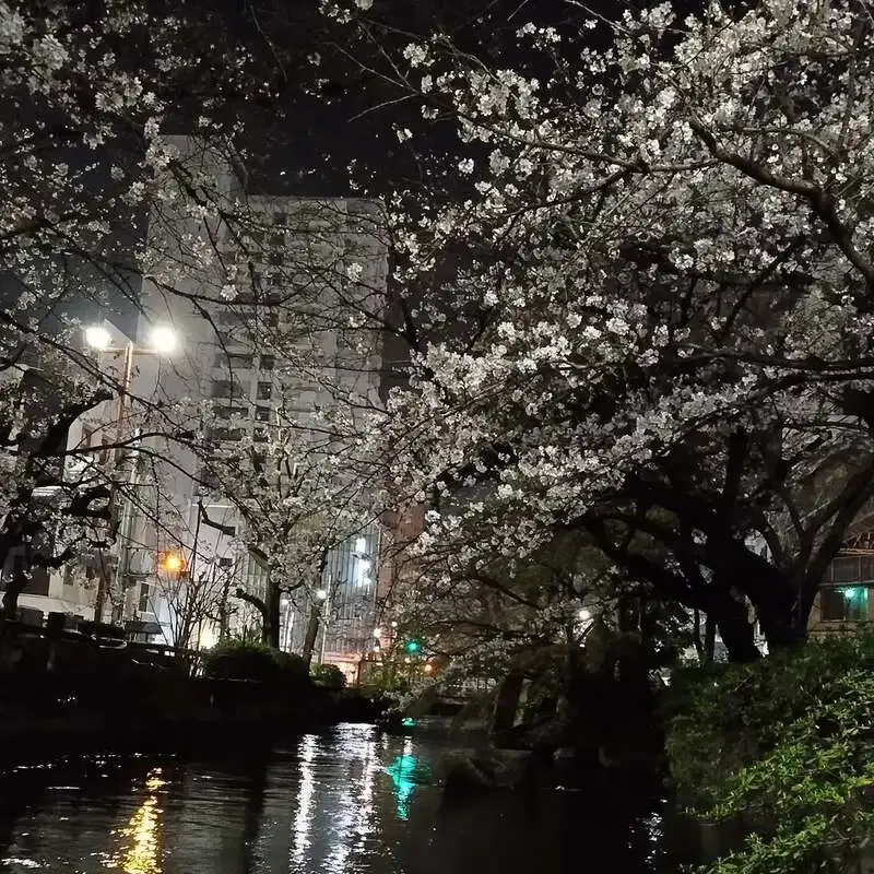 岡山・CRAFT Rainbowにしまなみブルワリーなど5種が開栓