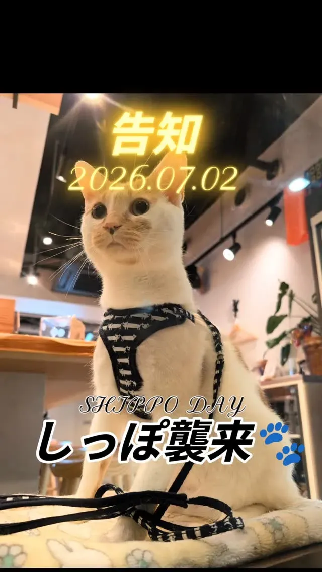 秋葉原・Craft Beer 2むぎで6種の樽生更新　Songbird Beer「MODERNE」など
