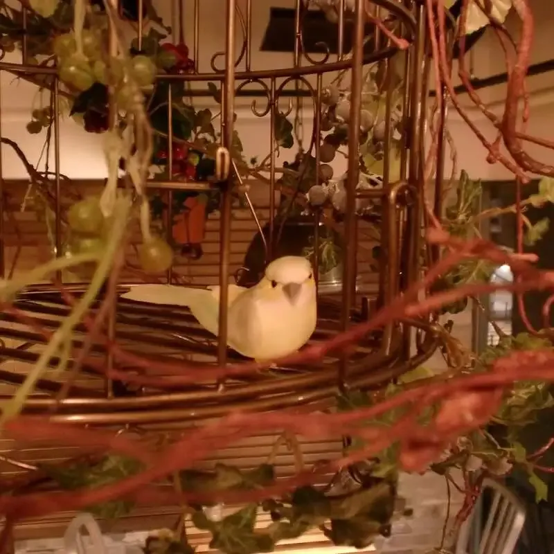 Himalaya table、4月14日タップリストに忽布古丹や奈良醸造など8銘柄