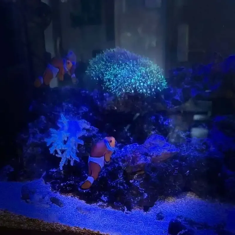 CraftBeer Bar BRONX、4月5日11:30開始で帝国IPAほか10種を案内