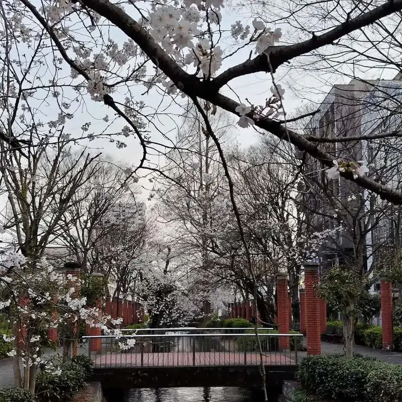 CRAFT Rainbowでしまなみブルワリー生サワーグレープフルーツなど5タップ