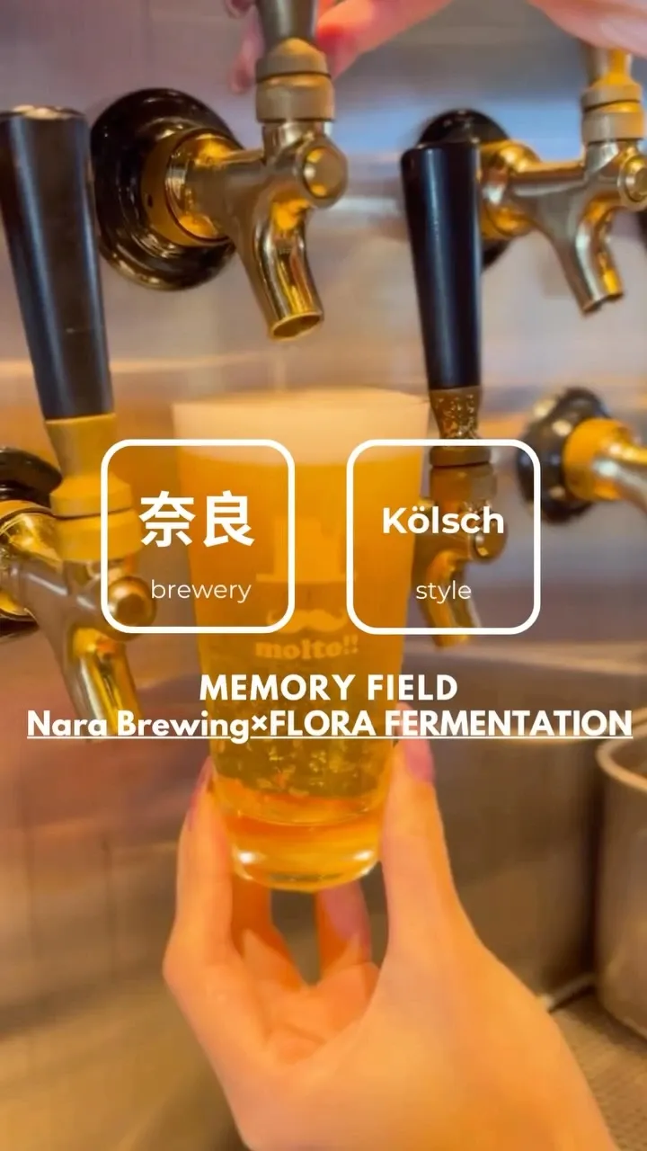 MEMORY FIELD Collaboration Beer Taps at molto!! in Umeda