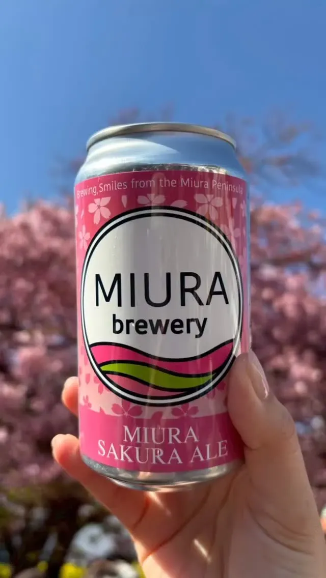 Miura Brewery、桜の開花シーズンに春限定「MIURA SAKURA ALE」を紹介